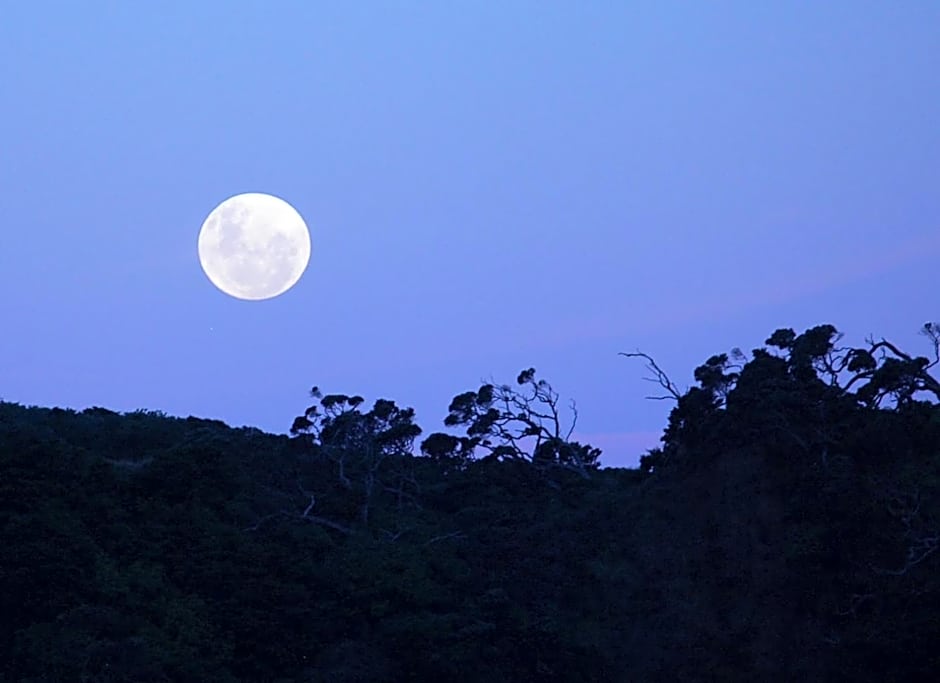 Absolute Beach front-Tutukaka Harbour