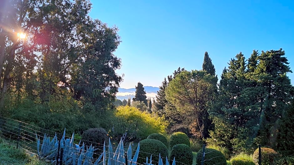 Mas Orféo – Montauroux, ID