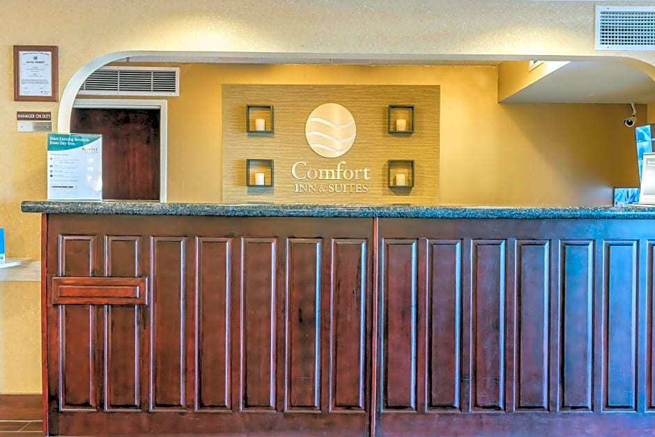 Comfort Inn & Suites Jasper Hwy 78 West