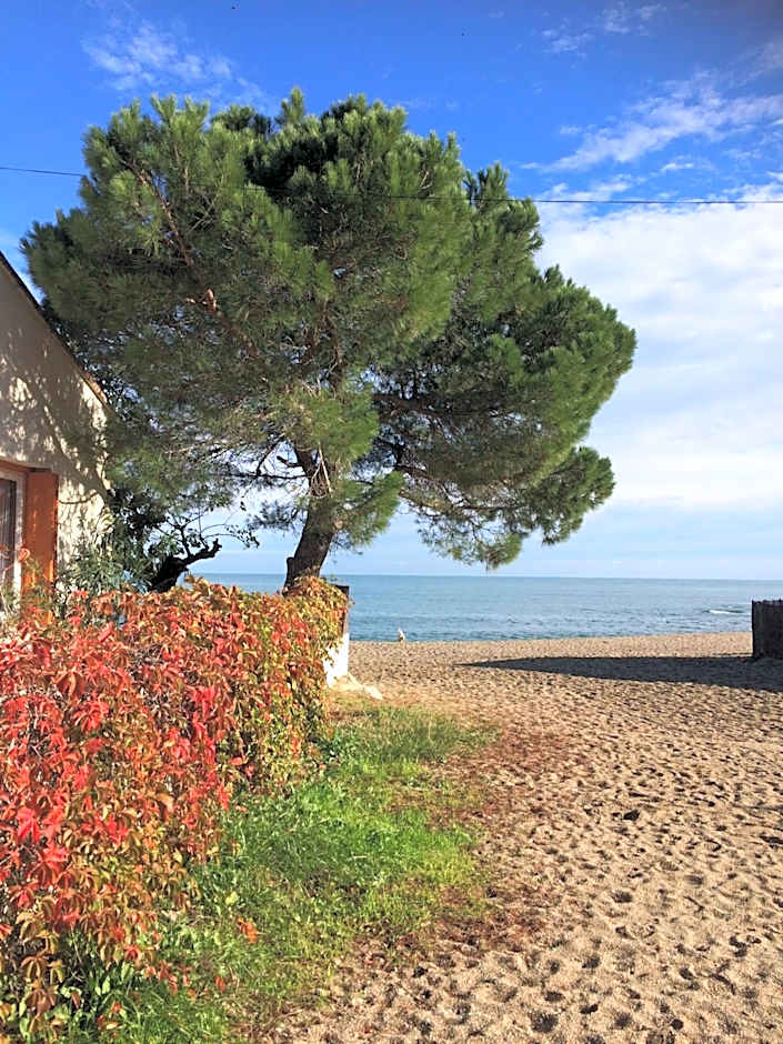 chambre d'hôtes Villa Côte Vermeille