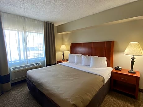 Business King Room - Pet Friendly