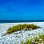 Beach Palms- Unit 102