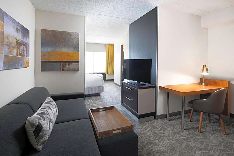 SpringHill Suites by Marriott Austin Round Rock