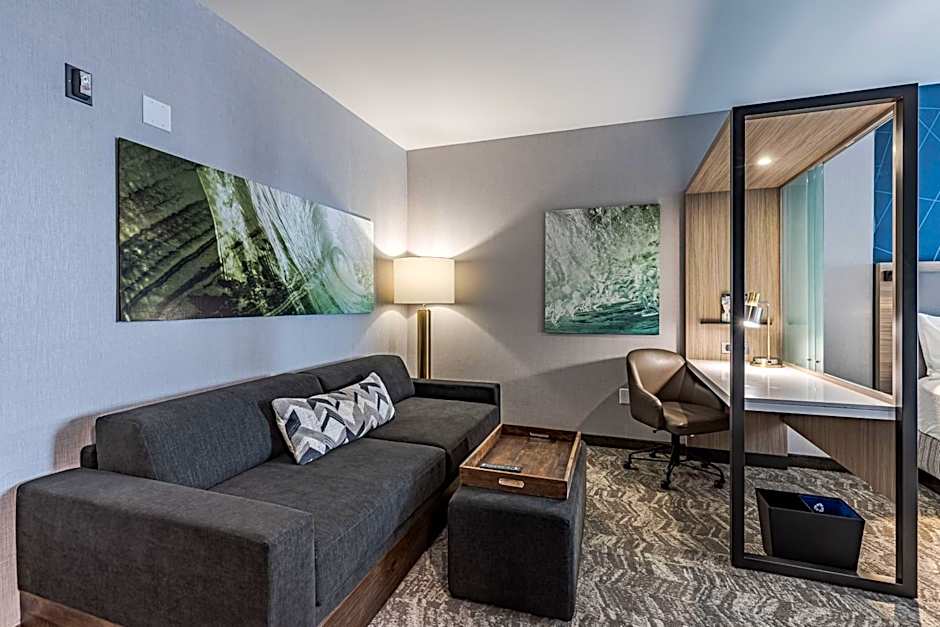 SpringHill Suites by Marriott Detroit Sterling Heights