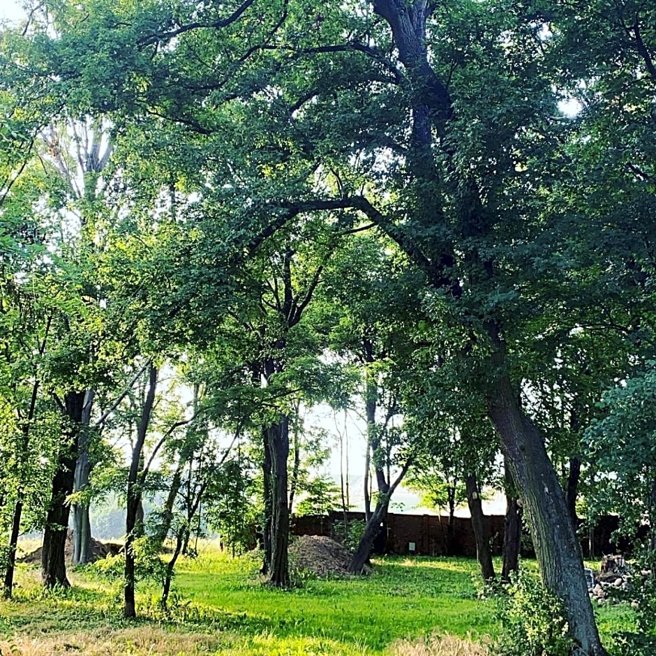 Palac Osowo gostynskie