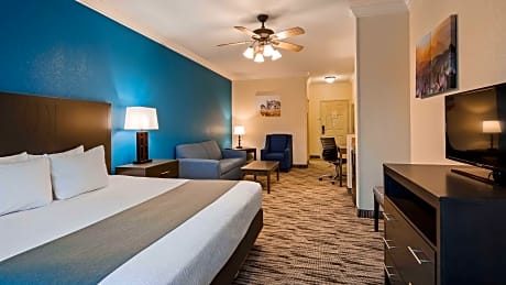 Suite-1 King Bed - Non-Smoking, Sofabed, Microwave, Refrigerator, Coffee Maker, Full Breakfast