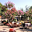 Hotel Gioia Garden