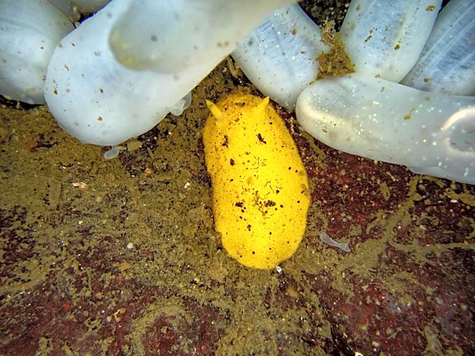 The Tuwanek Bed and Breakfast