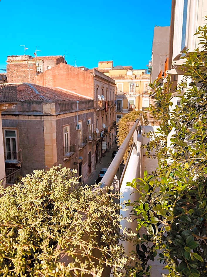 B&B Stramondo