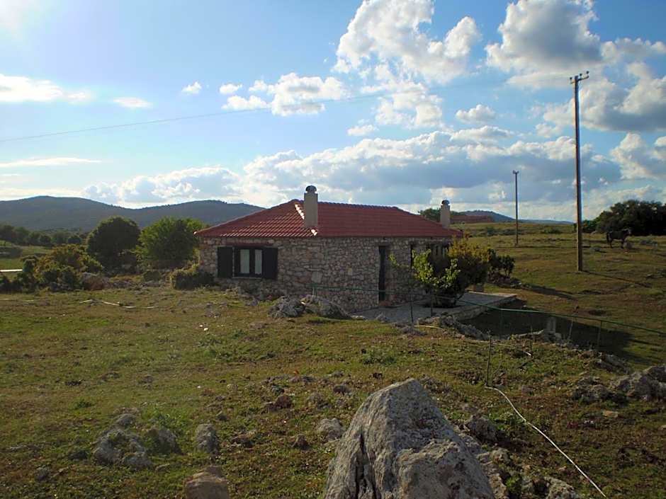 Arachovitika Kalivia