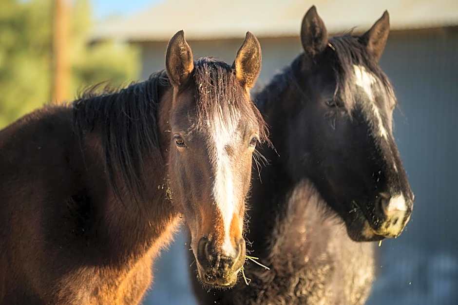 Amargosa Opera House & Hotel