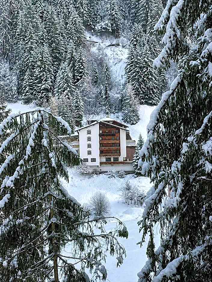 Hotel Buckelhof - See - Free Liftpass Summer