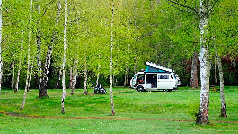 Hanmer Springs Forest Camp Trust