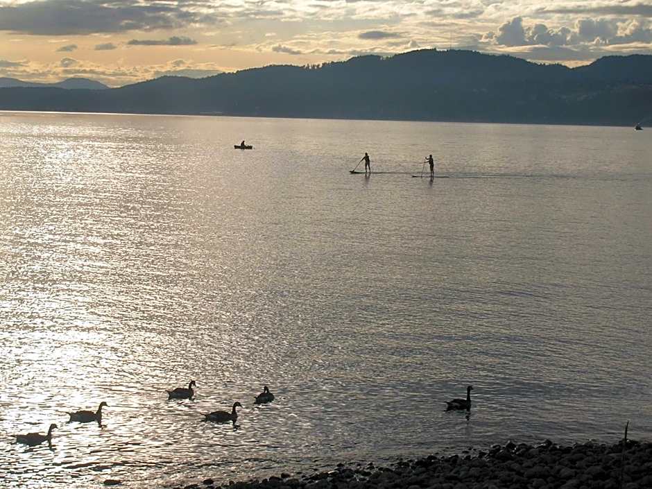 Davis Bay Bed & Breakfast