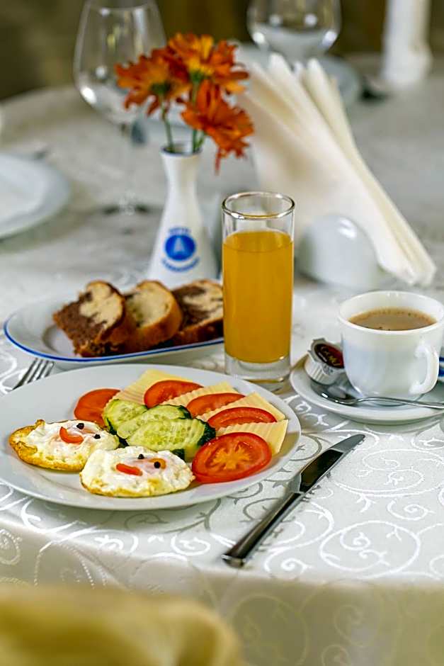 Hotel Alexandros Busteni