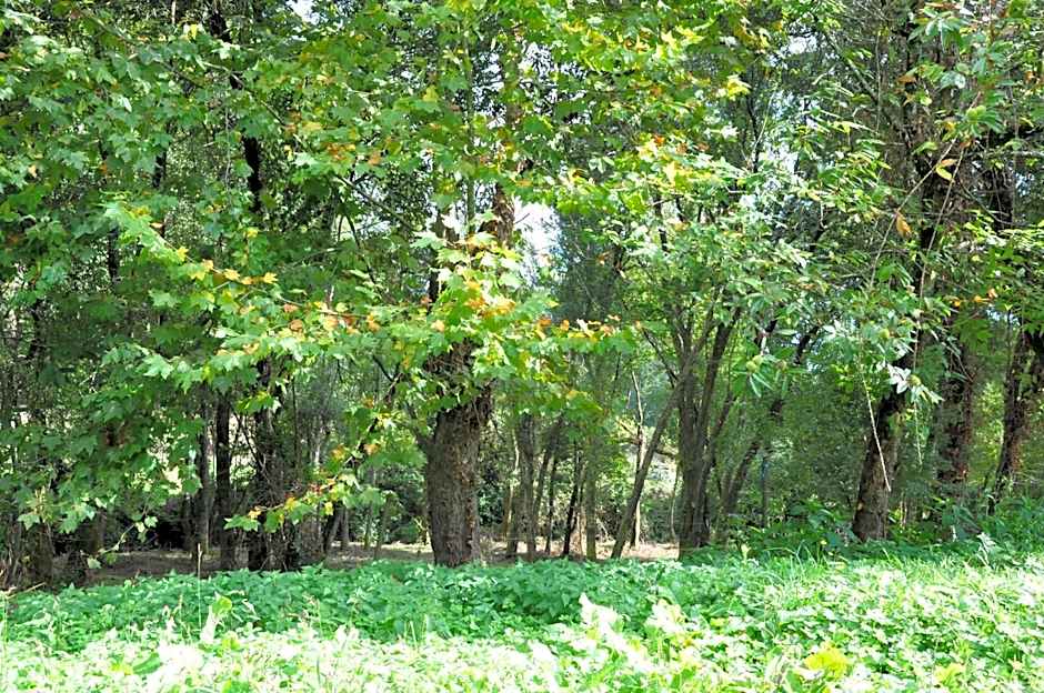 Hotel Rural de Charme Maria da Fonte