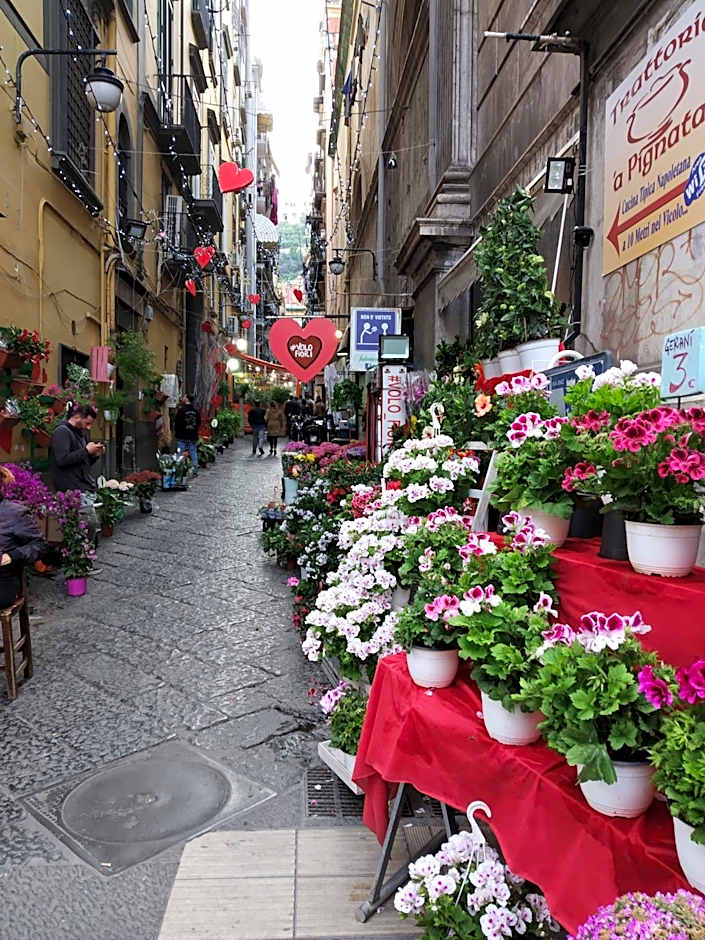 Non ci resta che Napoli