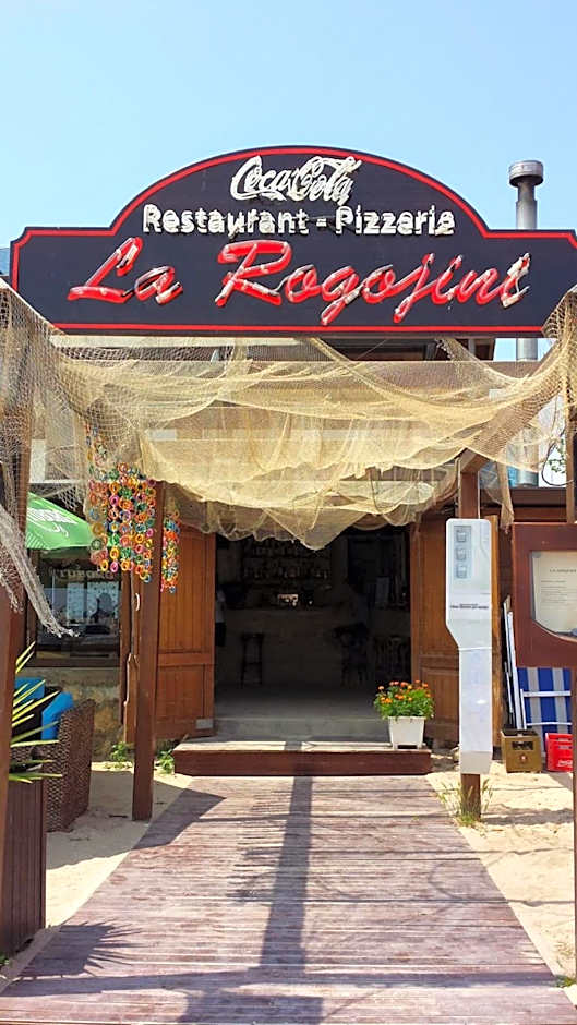 Vila Dini(La Rogojini)
