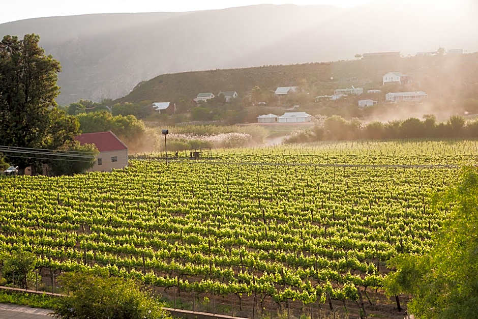 The Queen Of Calitzdorp