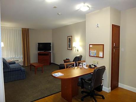 1 King Bed Studio Suite