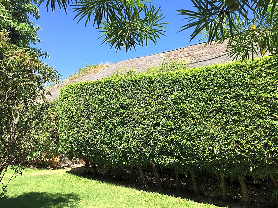 Pranberry Bed and Breakfast