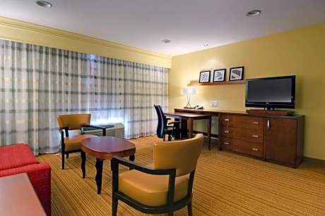 One-Bedroom King Suite with Sofa Bed