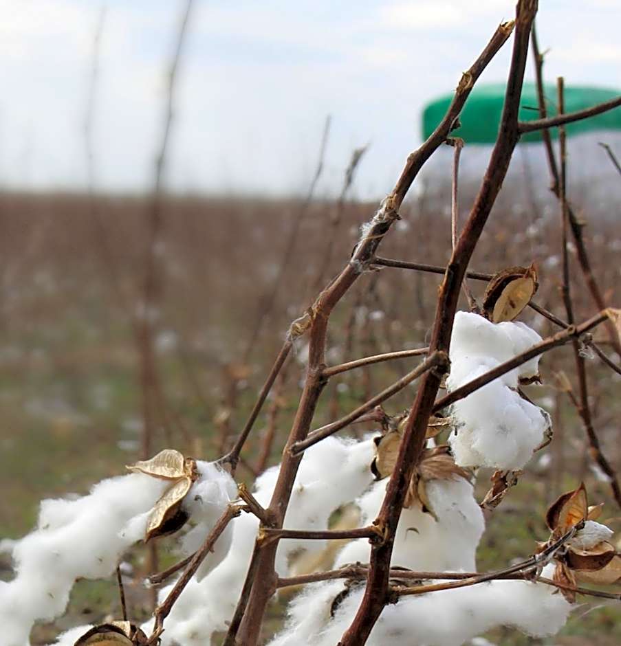 Southern Inn & Suites Lamesa