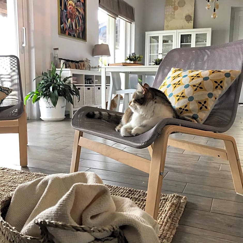 Il Sassoscritto Bed and Breakfast