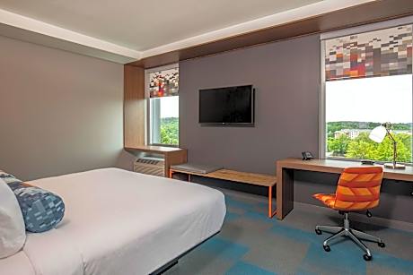 Room, 1 King Bed (Mobility Accessible, Tub)