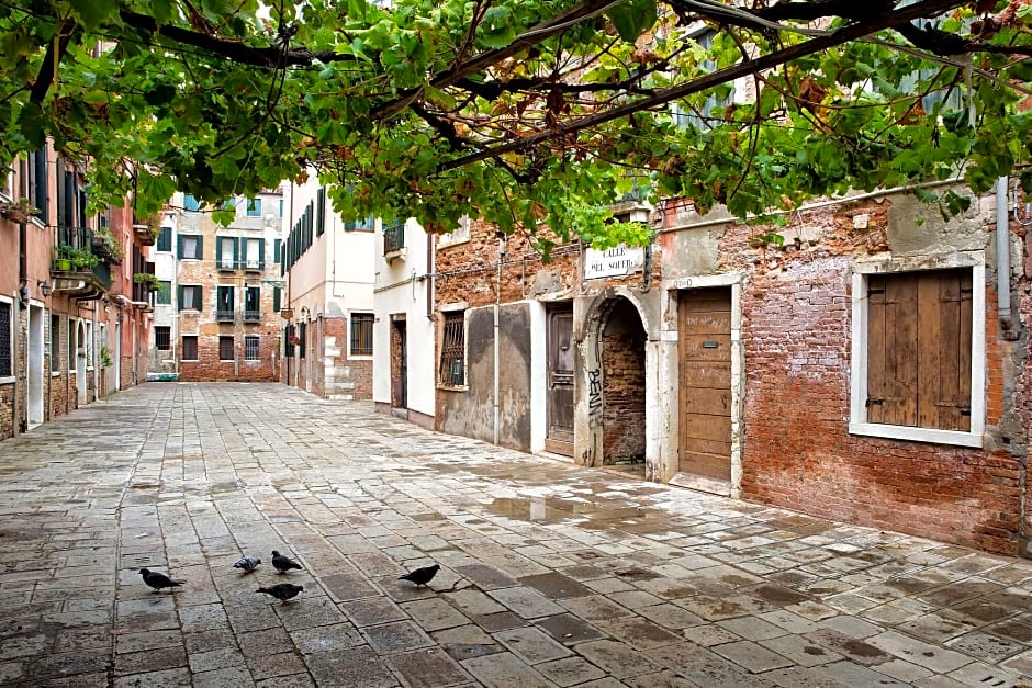 Alla Vite Dorata
