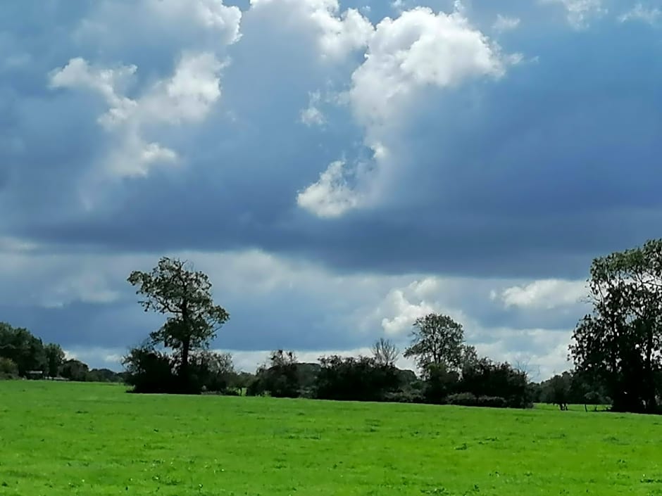 les hirondelles bleues