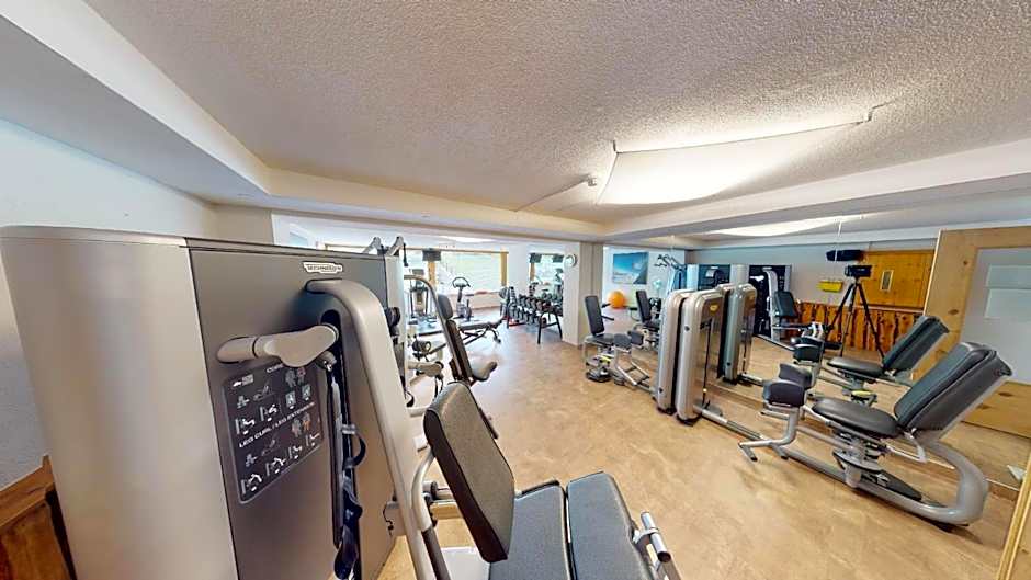 Wellness Aparthotel Panorama Alpin - Ferienwohnungen Jerzens im Pitztal