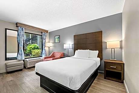 Double Room with Bathtub - Disability Access/Non-Smoking