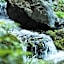 Japanese Onsen Ryokan Kohakuen