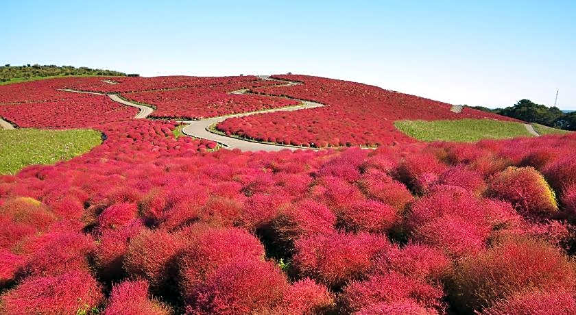 JR-EAST HOTEL METS MITO