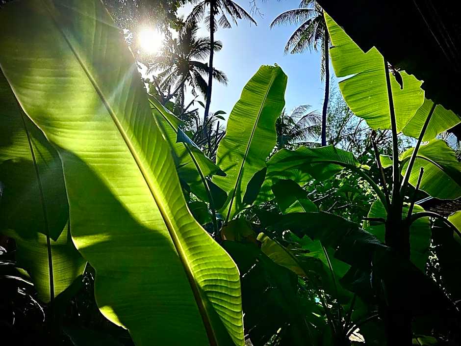Secret Beach Bungalows