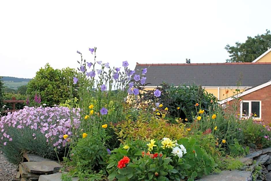Brynhaul Bed and Breakfast