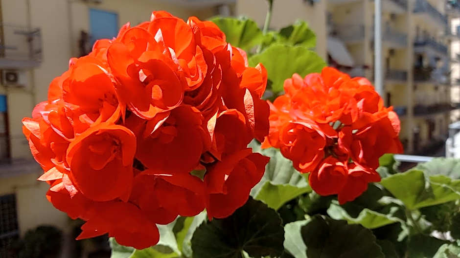 B&B Maestra Giovanna