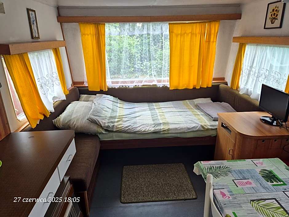 Dom Bursztynek - holender