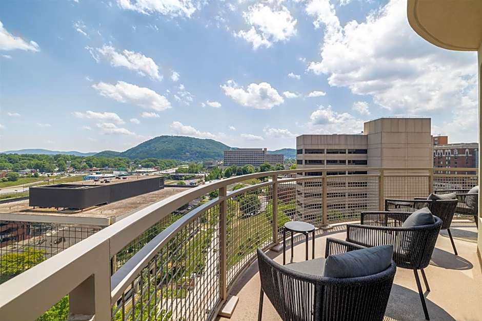 Hampton Inn & Suites Roanoke Downtown