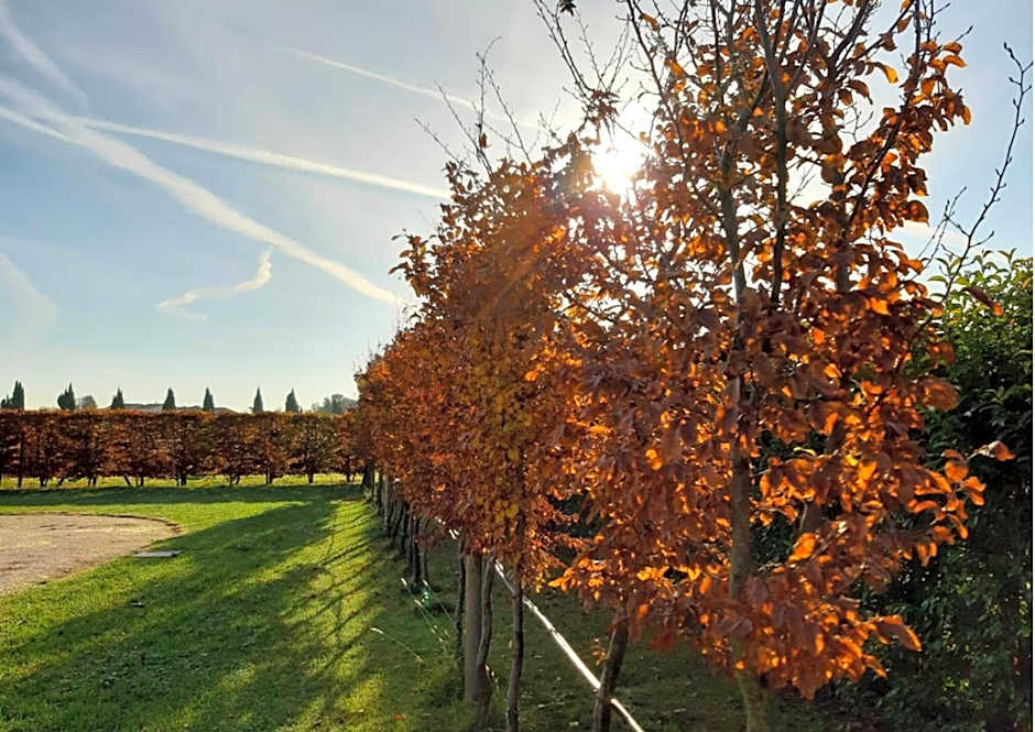 Country House Campofiore