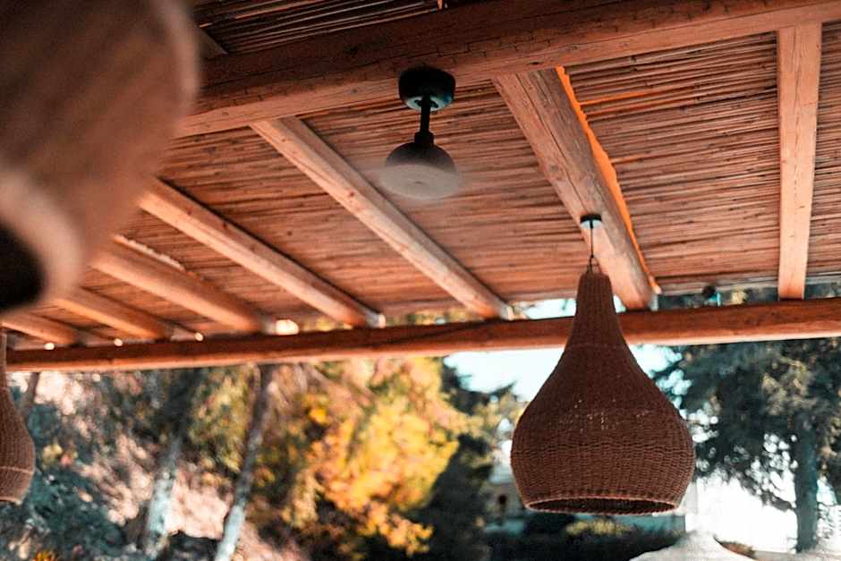 Trees Art Hotel & Suites