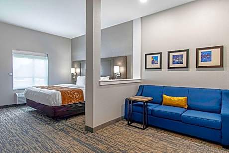 King Suite with Roll-In Shower - Accessible/Non-Smoking