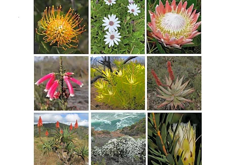 Erika27 Top B&B Choice