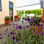 Bella Vista Motel Ashburton