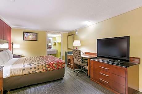1 King Bed, No Smoking