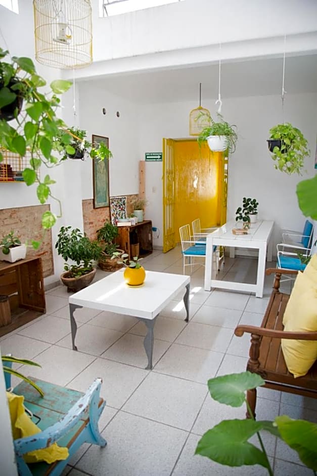 Casa Canario Hostel