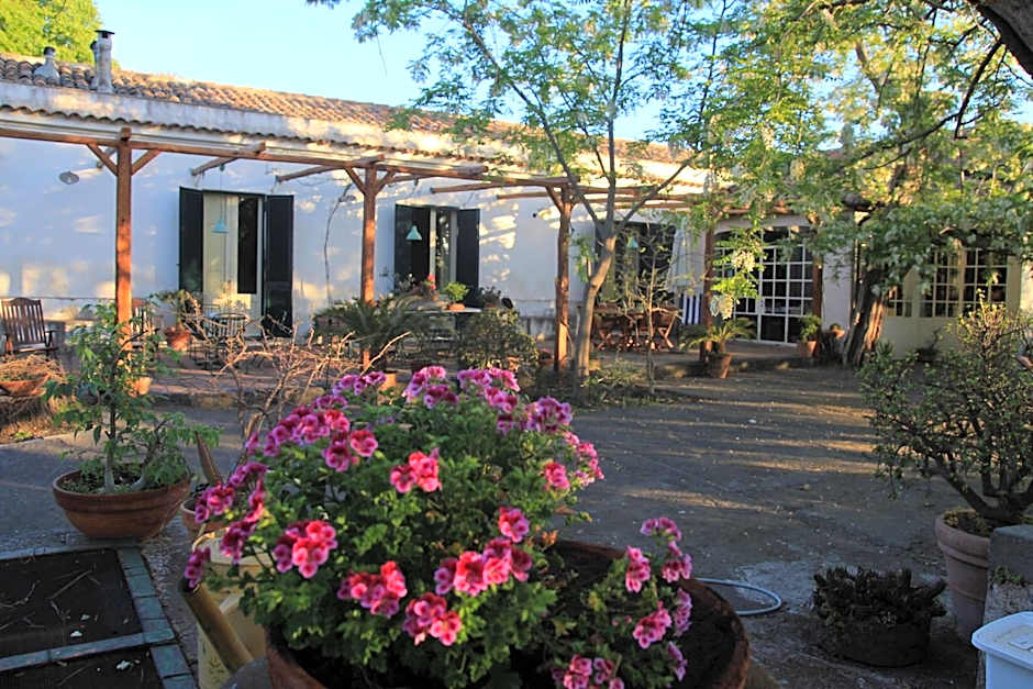 Etna B&B La casa di Pippinitto