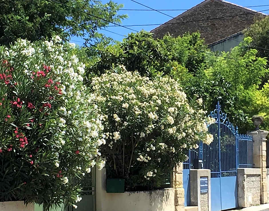 Chambre d'Hôtes Lo Componaïro