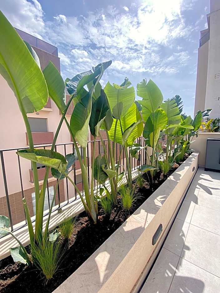 Hotel-Apartment with big terrace